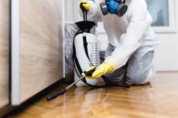 Best Local Pest Control Services  in Skidmore, TX
