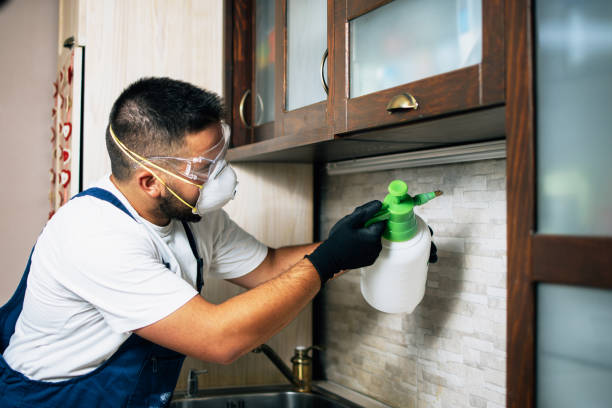 Trusted Skidmore, TX Pest Control Experts