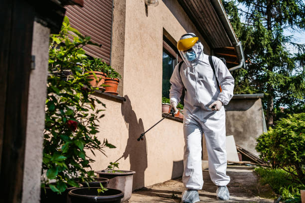 Best Affordable Pest Control Services  in Skidmore, TX