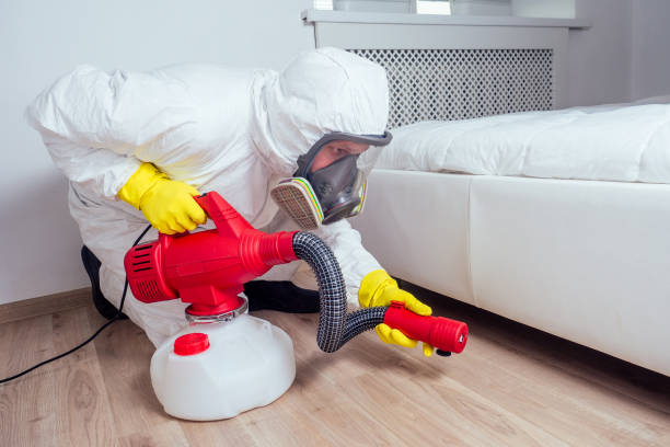 Insect Control in Skidmore, TX