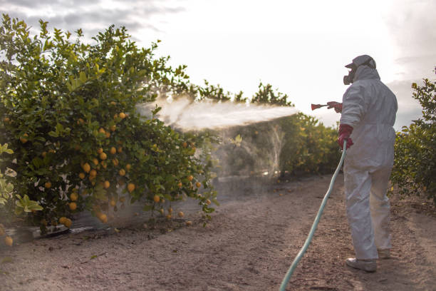 Best Pest Inspection Near Me  in Skidmore, TX