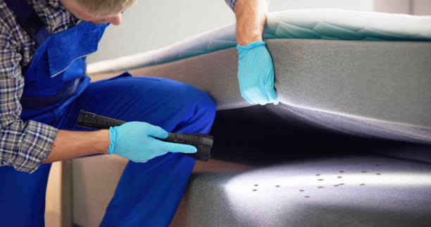 Best Pest Prevention Services  in Skidmore, TX
