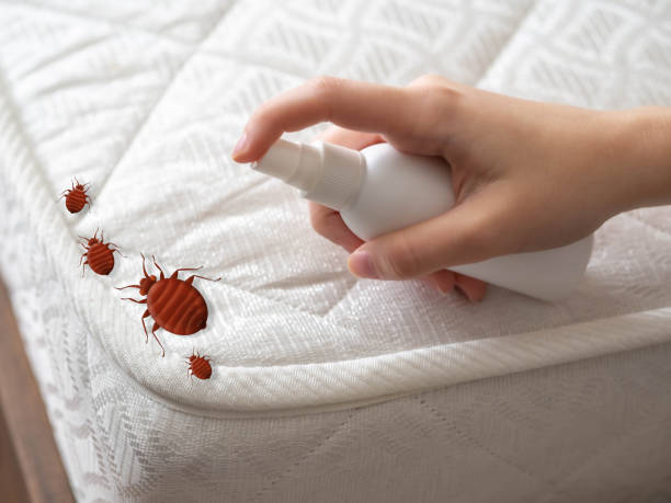 Professional Pest Control in Skidmore, TX