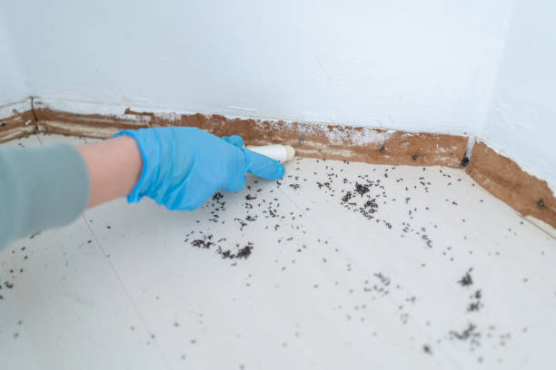 Best Best Pest Control Companies  in Skidmore, TX