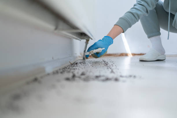 Best Emergency Pest Control  in Skidmore, TX