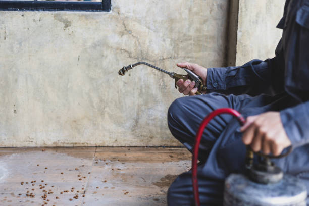 Best Affordable Pest Control Services  in Skidmore, TX